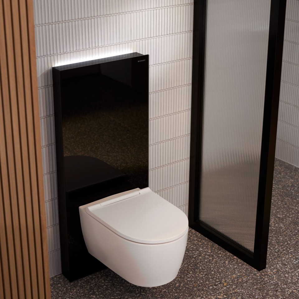 Modulo sanitario Geberit Monolith Plus Modulo sanitario Geberit Monolith Plus