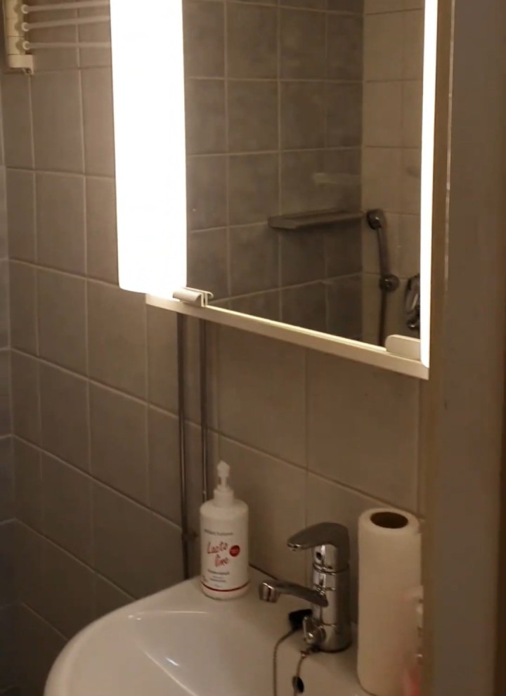 Prima: immagine del piccolo bagno con specchio contenitore e lavabo (© Meja Hynynen)