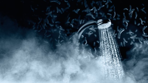 Gli erogatori possono essere un potenziale ricettacolo per la legionella Gli erogatori possono essere un potenziale ricettacolo per la legionella