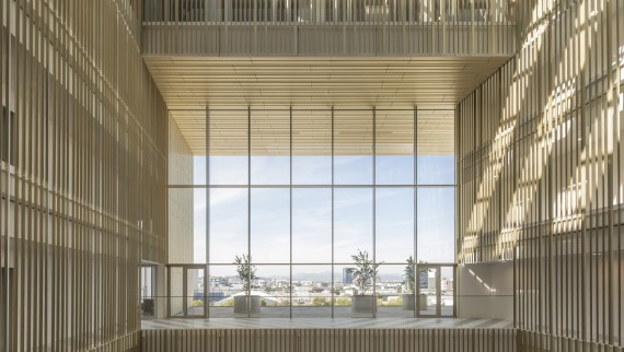 L’atrio è rivestito con profili in alluminio anodizzato dorato, i cui toni variano in base ai movimenti del sole. L’atrio è rivestito con profili in alluminio anodizzato dorato, i cui toni variano in base ai movimenti del sole.