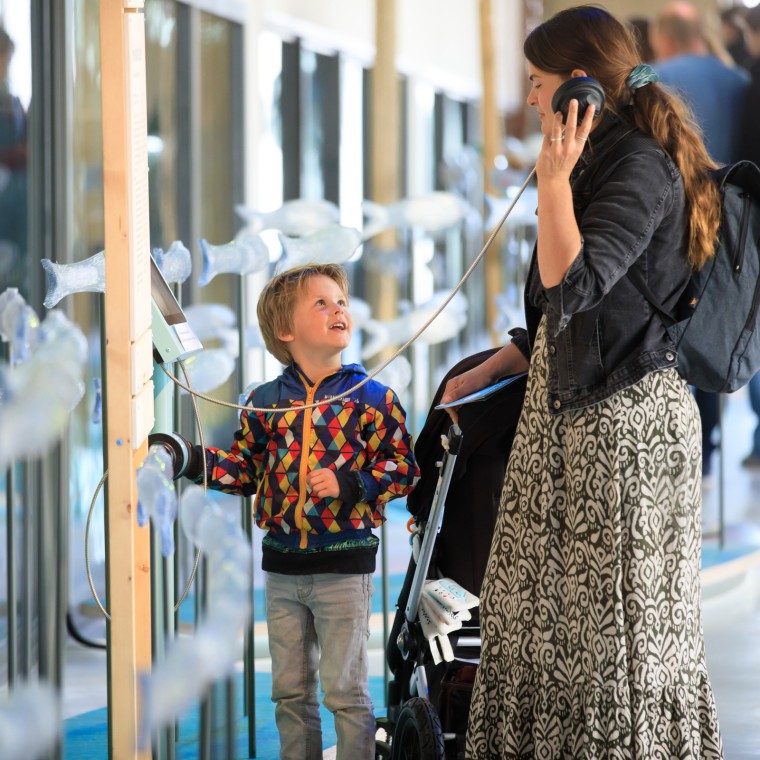 Il museo interattivo del Wadden Sea Centre è aperto ai visitatori tutto l’anno (© Tjeerd Visser)