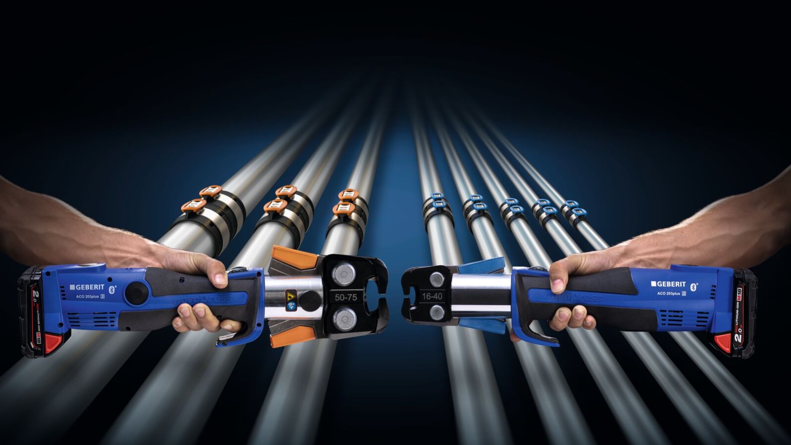 È piuttosto improbabile confondersi tra le due ganasce, grazie alla loro caratteristica colorazione arancione e blu. È piuttosto improbabile confondersi tra le due ganasce, grazie alla loro caratteristica colorazione arancione e blu.