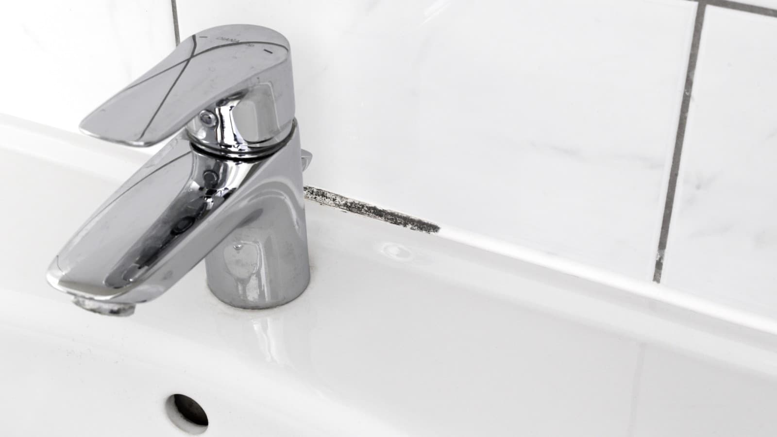 Muffa nelle fughe delle piastrelle del bagno Muffa nelle fughe delle piastrelle del bagno